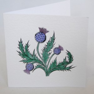 Scottish Thistle