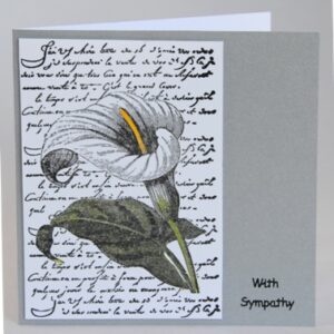 Calla Lily Sympathy Card