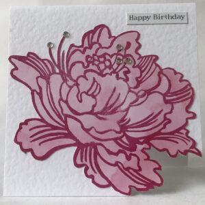 Peony Birthday Card