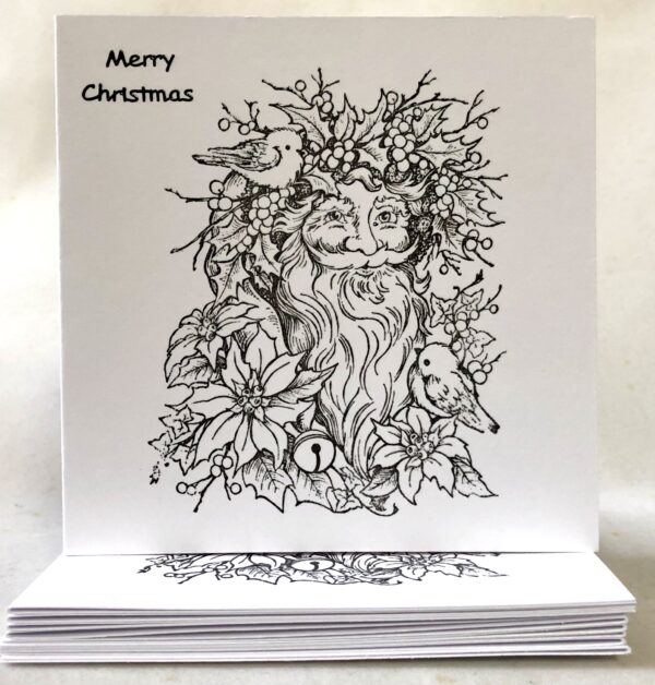 Father Christmas  Card Pack