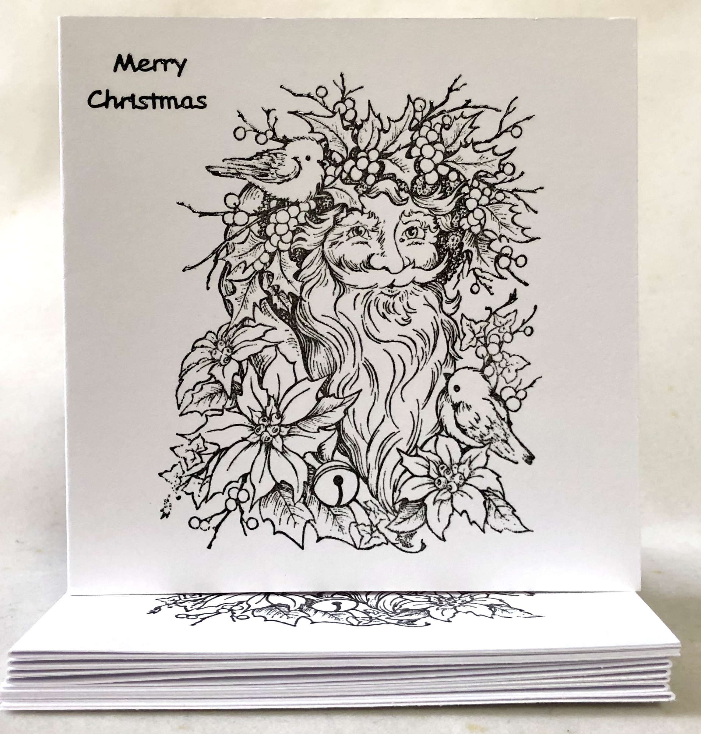 Father Christmas  Card Pack - Image 1