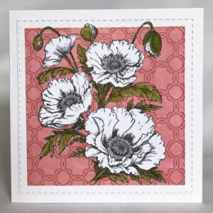 Poppies Card