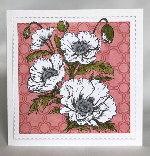 Poppies Card