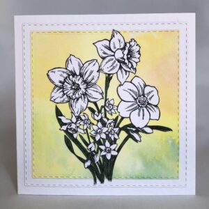 Narcissus Card